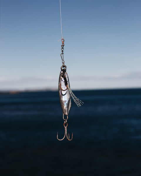fishing lure and hooks