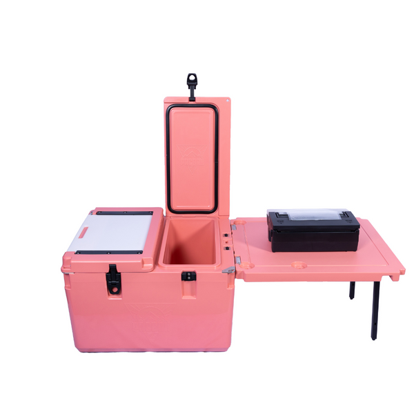 P60-MK Cooler and ROAM 18-V Portable Vacuum Sealer Combo